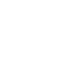 The Host Partner